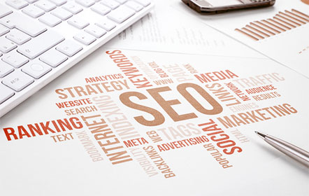 Ottawa SEO

