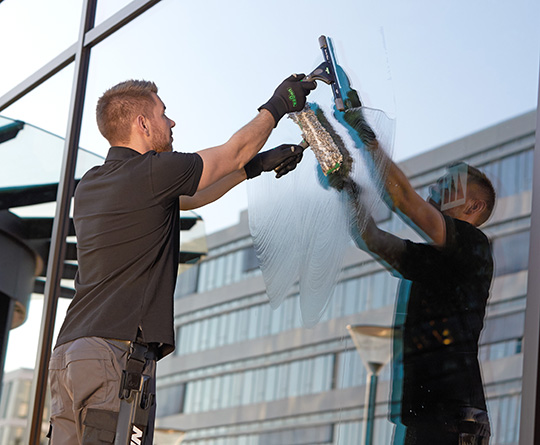Professional Window Cleaning